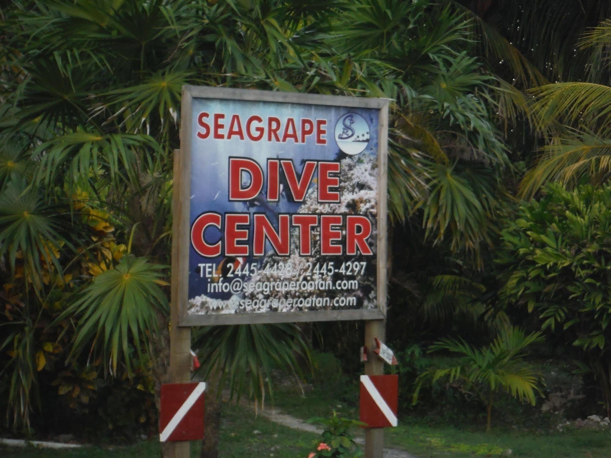 Seagrape Plantation Resort & Dive Center Вест-Энд Экстерьер фото